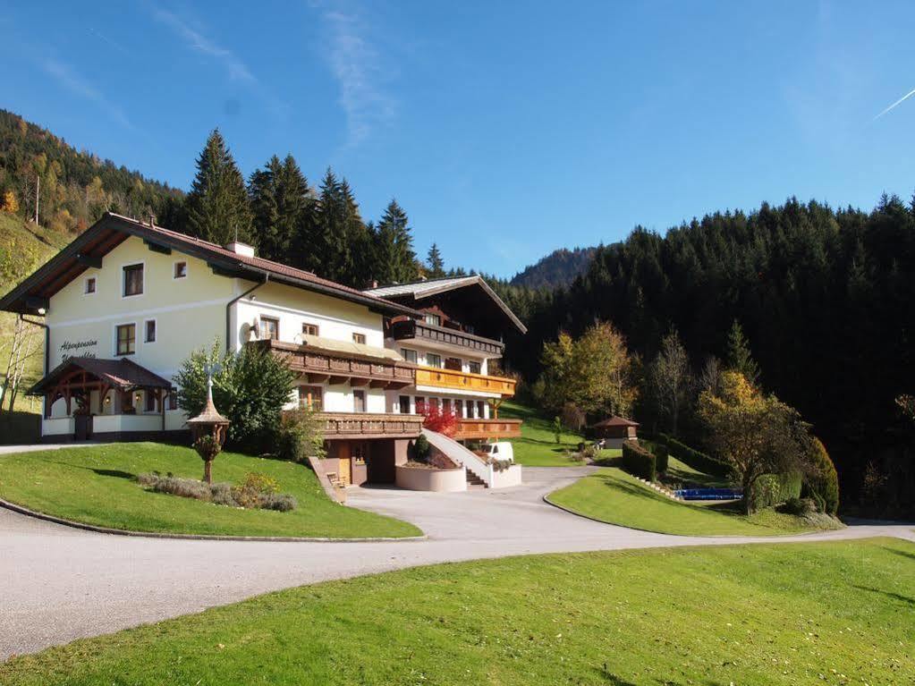 Alpenapartments Unterschlag Annaberg im Lammertal Ngoại thất bức ảnh